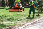 Comment choisir un paysagiste qualifié pour transformer votre jardin ?